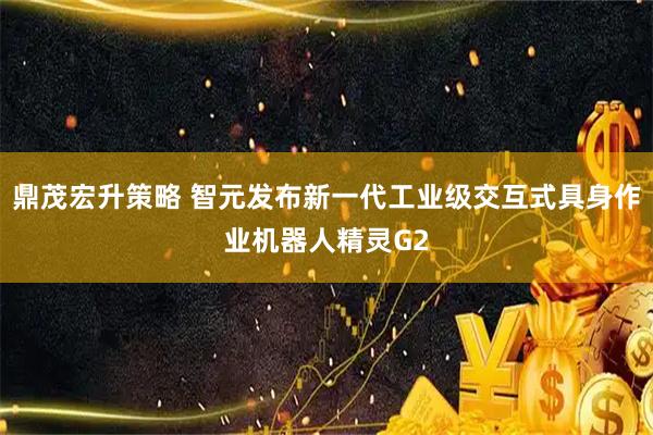 鼎茂宏升策略 智元发布新一代工业级交互式具身作业机器人精灵G2