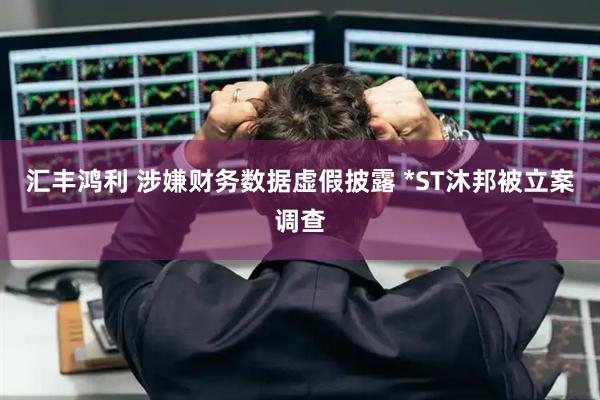 汇丰鸿利 涉嫌财务数据虚假披露 *ST沐邦被立案调查