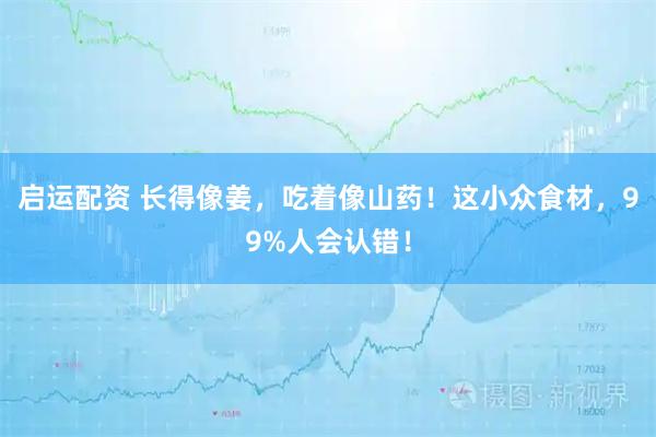 启运配资 长得像姜，吃着像山药！这小众食材，99%人会认错！